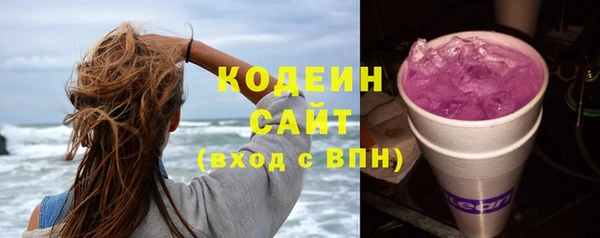 молекула духа Нягань