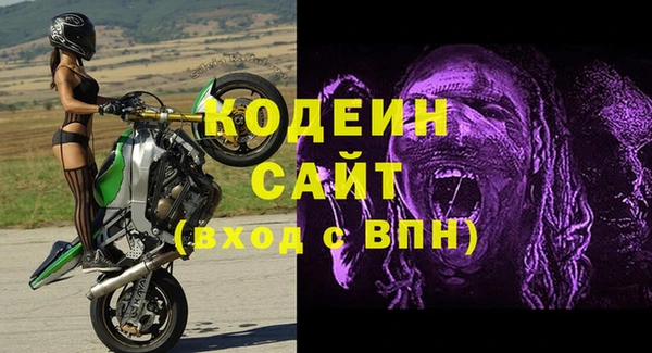 молекула духа Нягань