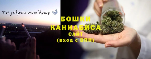 молекула духа Нягань