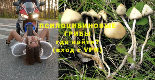 молекула духа Нягань