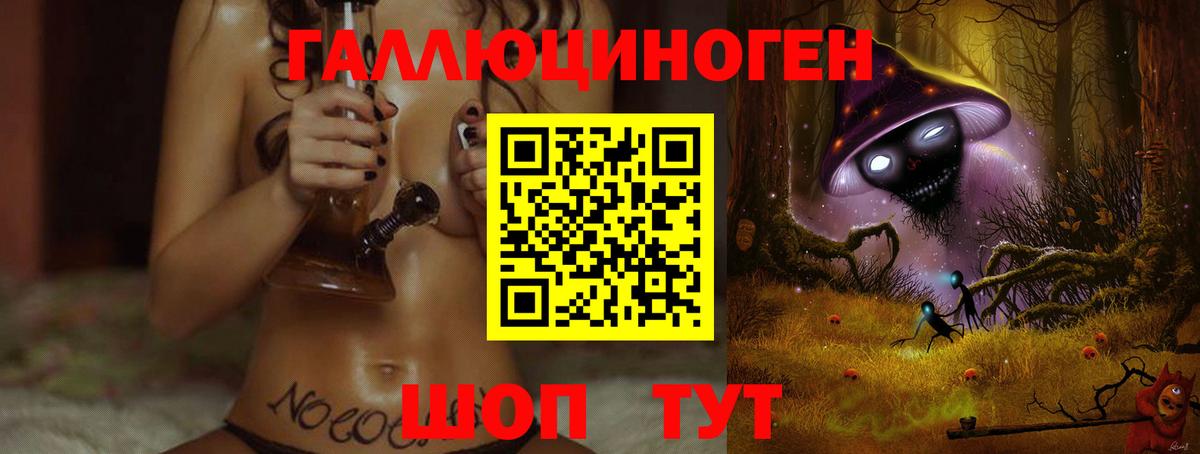 Псилоцибиновые грибы Psilocybe Саяногорск