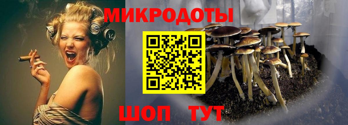 Галлюциногенные грибы Cubensis  Вход с VPN  Саяногорск 